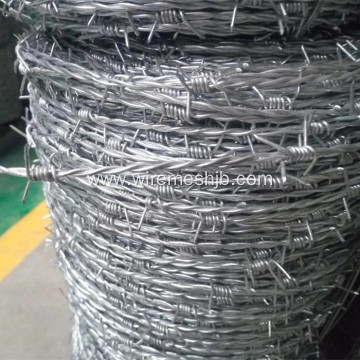 High Tensile Barbed Wire Double Strand Type